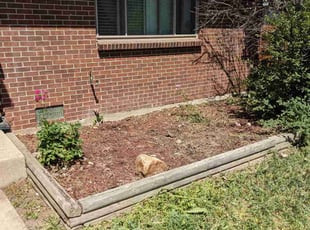 Weeding by Luke Reinhold for Trai C. in Aurora, CO