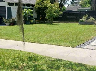 Jennifer M.'s Yard Cutting service result