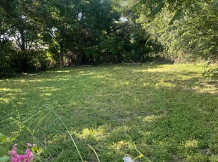 Weeding by Heriberto Lopez for Linda P. in Corpus Christi, TX
