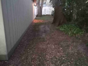 Cleanups by Christopher Lippens for Robert Q. in South Daytona, FL