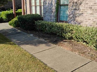 Bush Trimming by Jayden Long for Roxanne F. in Loganville, GA