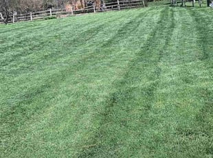 Margaret T.'s Yard Cutting service result