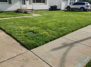 Emmett W.'s Lawn Mowing service result