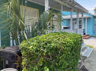 Bush Trimming by Yon Helton for Kelsey G. in St. Augustine, FL