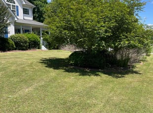 Gary & Eva D.'s Lawn Service service result