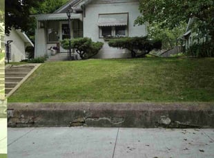 Bush Trimming by David Gallaway for Diane B. in Minneapolis, MN