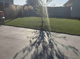 Lulu n.'s Grass Cutting service result