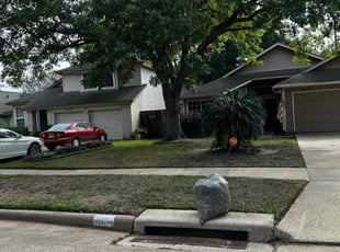 Leaf Removal by Danny Blanco for Carolyn M. in Houston, TX