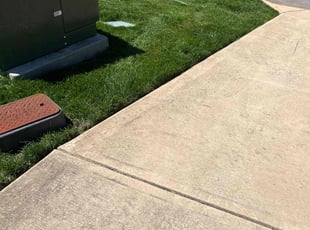 Richard B.'s Lawn Mowing service result