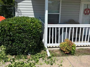 Bush Trimming by Imunique Hill for Bernard B. in Tulsa, OK