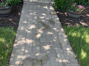 Weeding by Ladarius Lathan for Alex F. in Winter Garden, FL