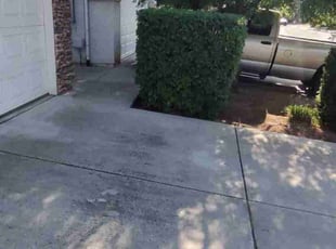 Bush Trimming by Blake Holland for Eric H. in Fresno, CA