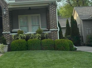 Mary B.'s Lawn Maintenance service result