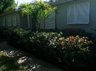 Bush Trimming by Steve Hughes for Anthony P. in Satellite Beach, FL
