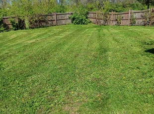 Silvia W.'s Lawn Maintenance service result