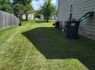 Fon G.'s Lawn Mowing service result