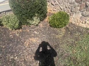 Weeding by Ashley Dawson for Nupur V. in Fredericksburg, VA