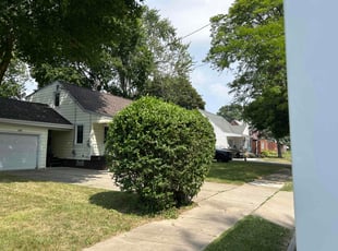 Bush Trimming by Sean Zastrow for Stephaine H. in Niagara Falls, NY