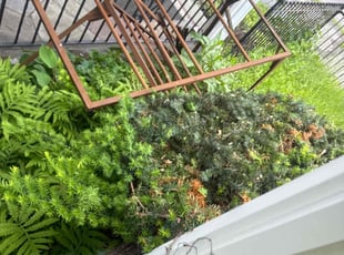 Bush Trimming by Mike Mackey for Barbara J. in Scranton, PA