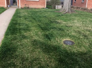 Cleanups by Kyle Rivard for Erin C. in Denver, CO