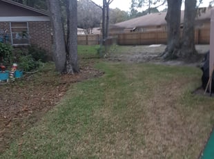Leaf Removal by Kelvin Williams for Lundra J. in Jacksonville, FL