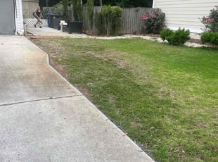 Leaf Removal by Chase Johnson for Megan M. in Charleston, SC