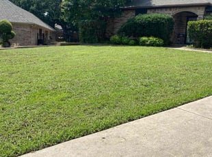 Rayjean E.'s Lawn Mowing service result