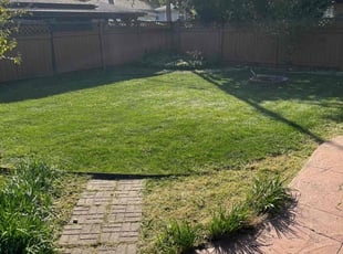 Cheryl H.'s Lawn Service service result