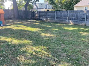 Altaf K.'s Lawn Maintenance service result