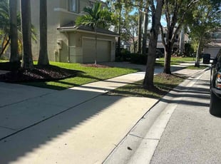 Susan V.'s Grass Cutting service result