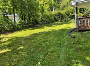 Maria L.'s Lawn Service service result