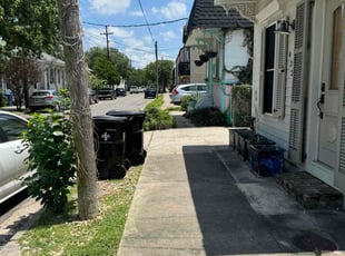 Bush Trimming by Akeem Lewis for Gabe B. in New Orleans, LA