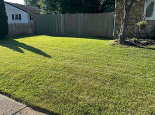 Haofan P.'s Lawn Maintenance service result