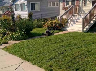 Emily D.'s Lawn Service service result