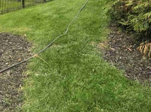 Leaf Removal by Ron Sullivan for james b. in Omaha, NE