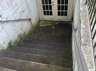 Judy C.'s Leaf Removal service result