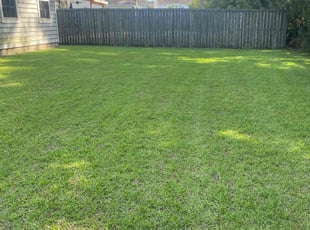 Margaret B.'s Lawn Care service result
