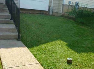 Ruby K.'s Grass Cutting service result