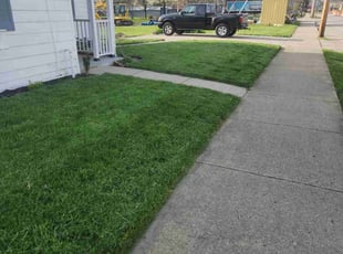 Gentle H.'s Lawn Mowing Service service result