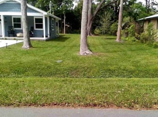 Frank S.'s Lawn Mowing service result