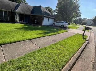 Alida W.'s Lawn Mowing Service service result