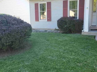Weeding by Nathan Garrett for Ellen L. in Florissant, MO