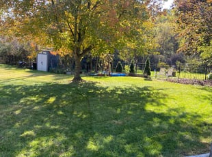 Neal C.'s Lawn Care service result