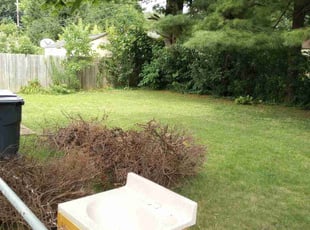Bush Trimming by Phillip Whitt for Matthew J. in Reynoldsburg, OH