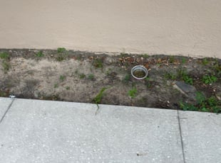 Leaf Removal by Kenneth Adams for Christina D. in Groveland, FL