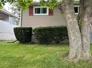 Bush Trimming by David Bowen for Joanne H. in Syracuse, NY