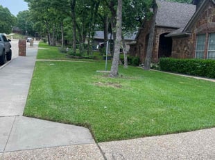 Cheryl E.'s Yard Cutting service result