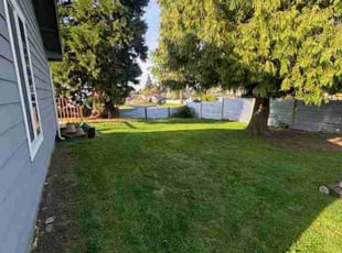 Steve V.'s Lawn Care service result