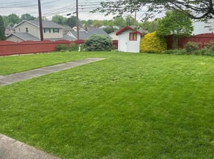 Andre S.'s Lawn Mowing service result