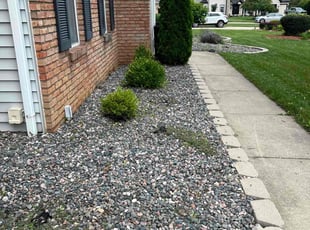 Weeding by Ben Willeford for Angel G. in Akron, OH